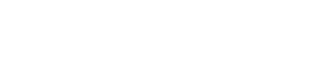 Ecovision